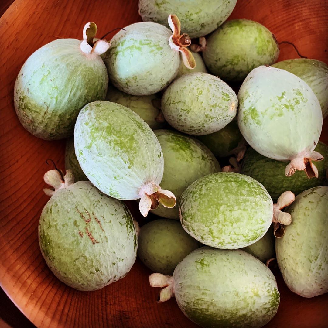 Feijoa in our house