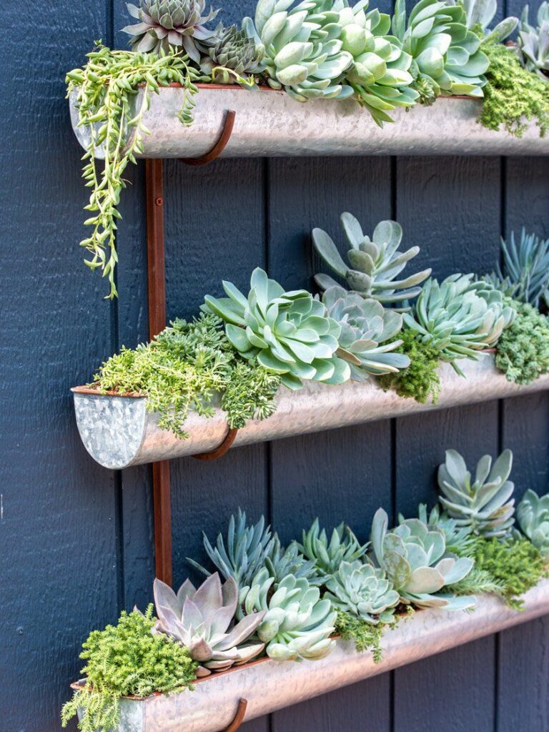 Wall Planter Decor Ideas For Every Room 4220