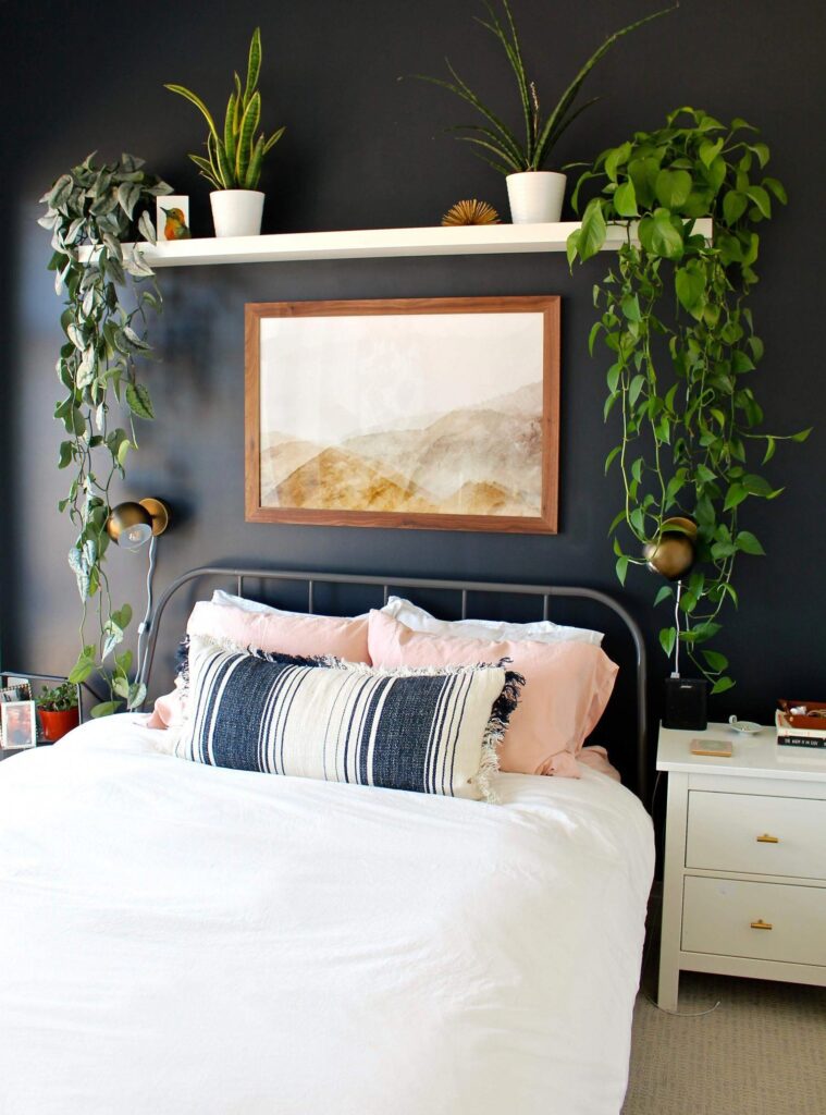 The Ultimate Guide to Creative Wall Planter Decor Ideas for Every Room Photo care instructions