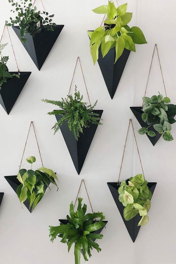 The Ultimate Guide to Creative Wall Planter Decor Ideas for Every Room Photo care instructions