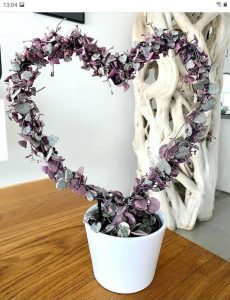 Variegated String of Hearts: Care Tips and Propagation Photo care instructions