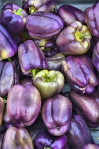 Discover the Different Types of Purple Bell Peppers Photo care instructions
